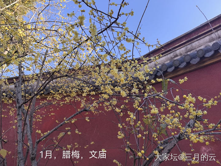 第一季度小结_花