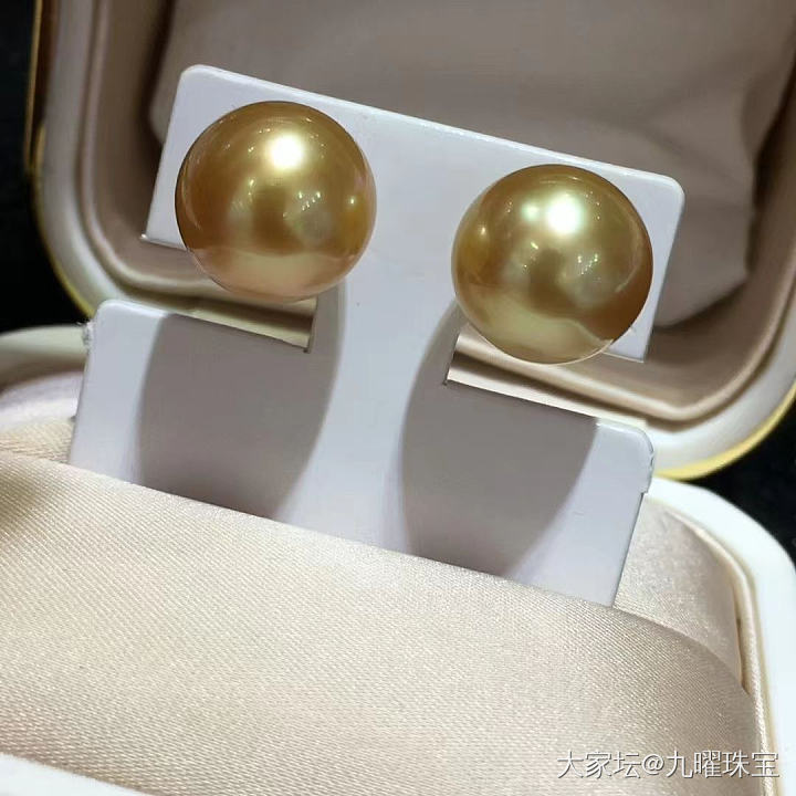 南洋金珍珠_珍珠