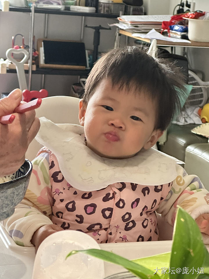 秀秀小闺女_婴儿