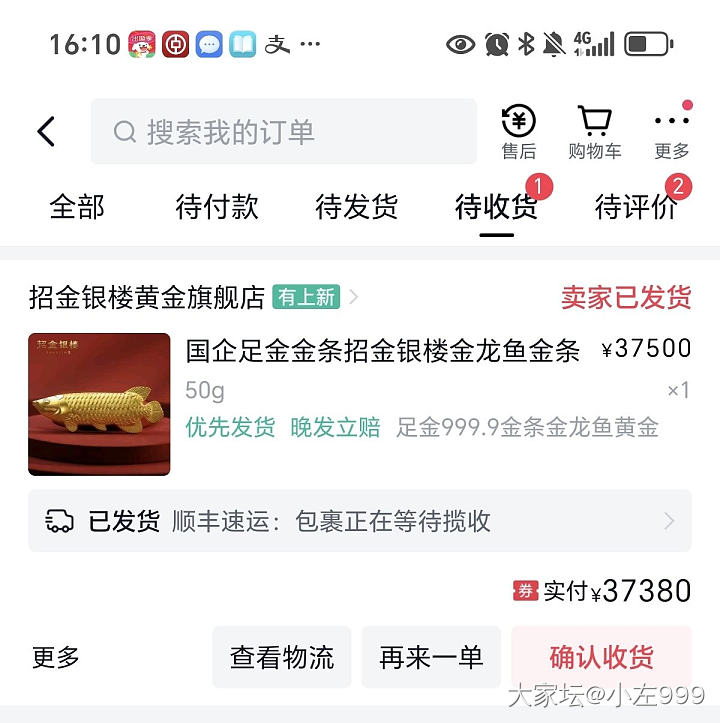 实在是喜欢这条金龙鱼_金