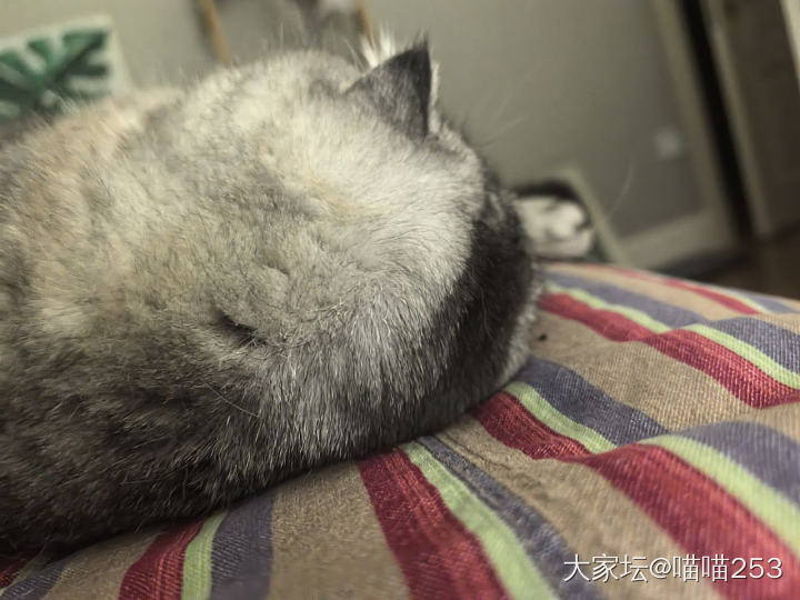 跟失眠和解_失眠
