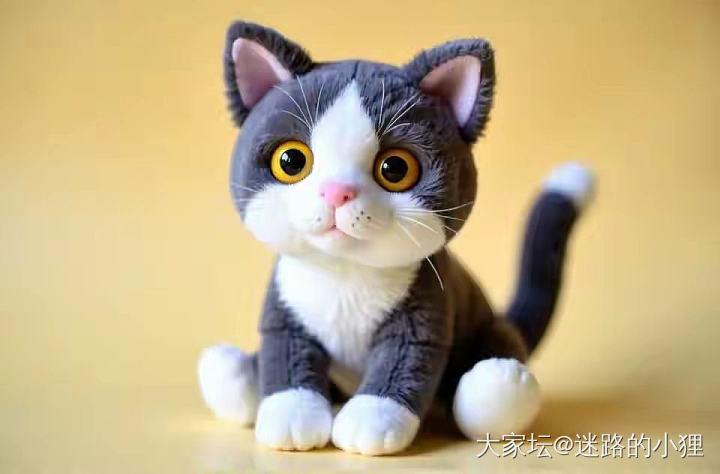 小狸又来发关于金价的帖子了～_贵金属