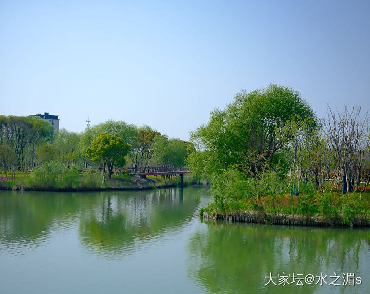 大爱春天～_旅游