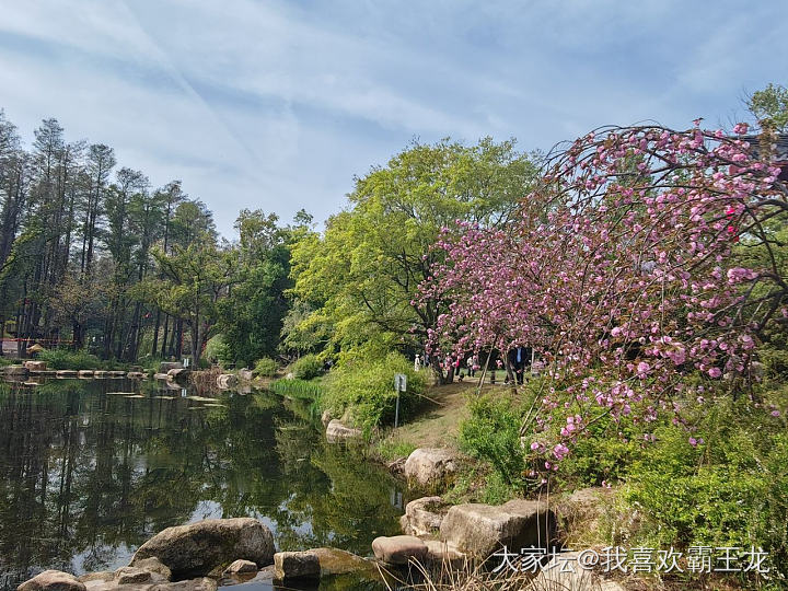 武汉东湖之樱花园，牡丹园_旅游