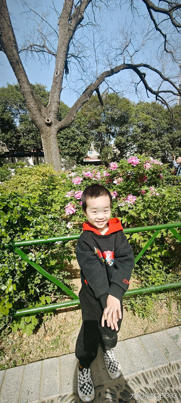 牡丹公园看牡丹_花