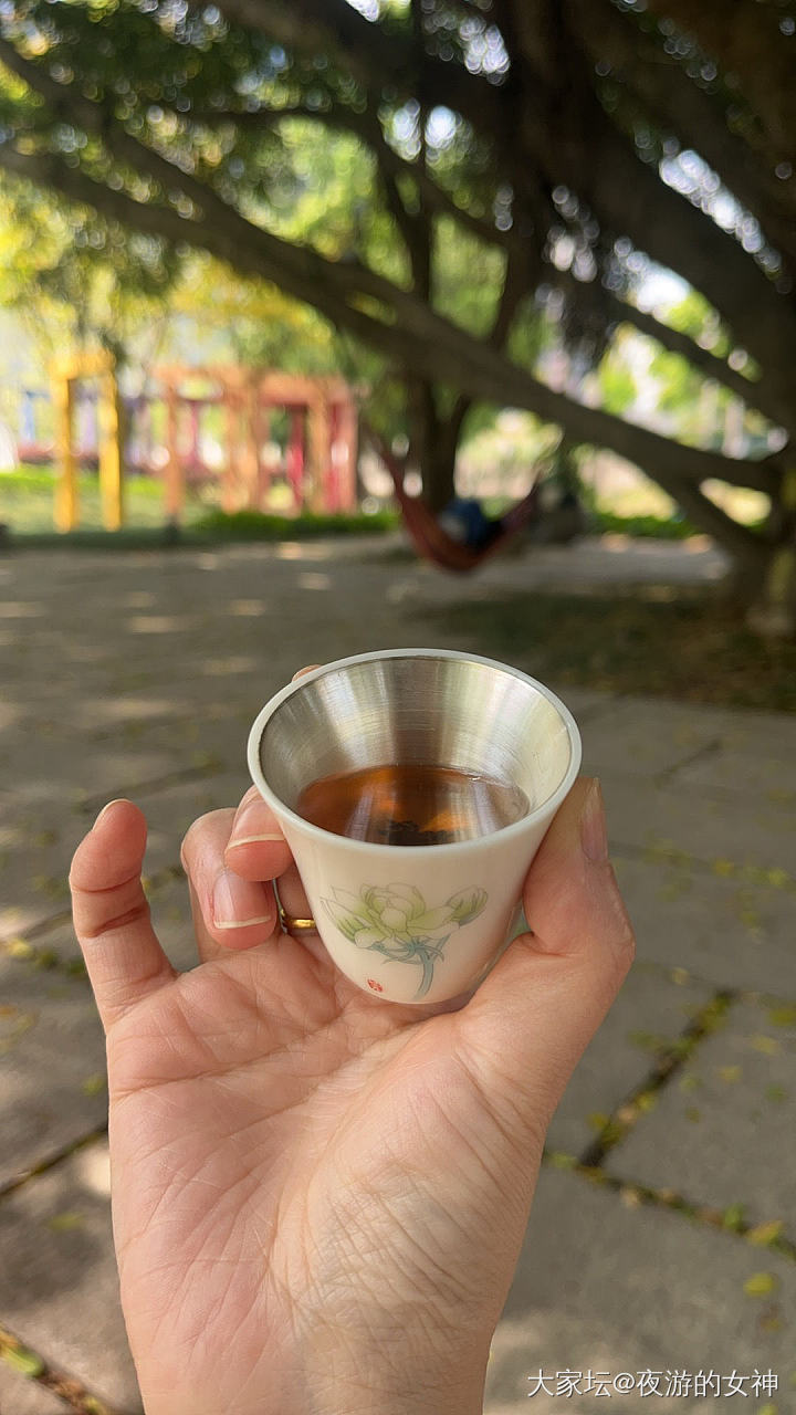 元宵偷懒没去，今天乖乖掏钱_旅游