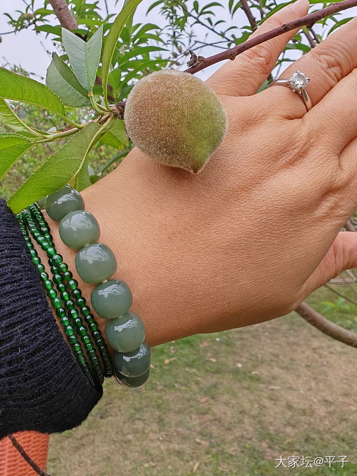 戴上点金银牡丹和其它新欢踏春_银