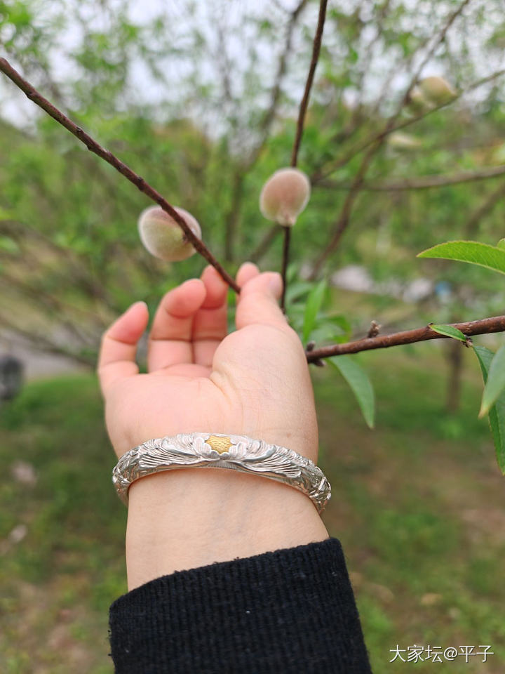 戴上点金银牡丹和其它新欢踏春_银