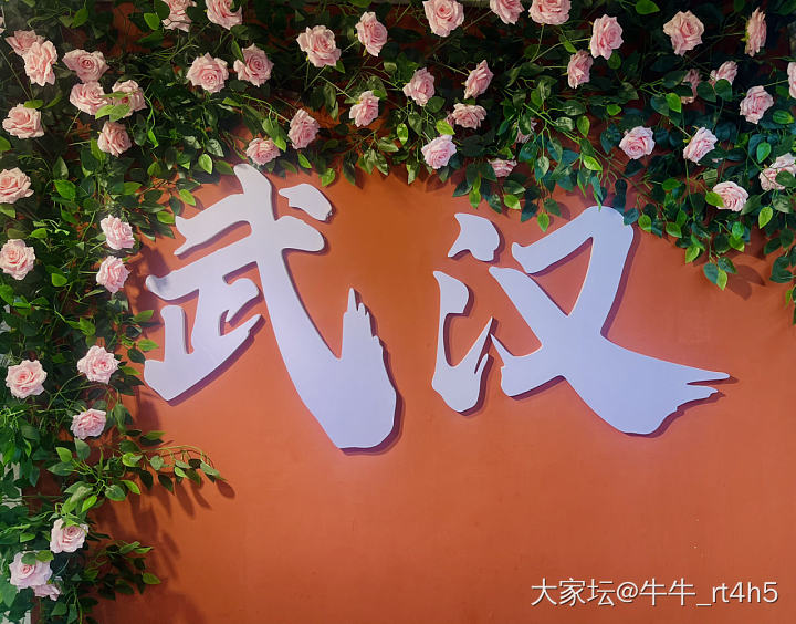 伤着了
人真多，我连黄鹤楼都没进去，看到人流马上撤退？
暑假前，我要做到足不出沪_旅游