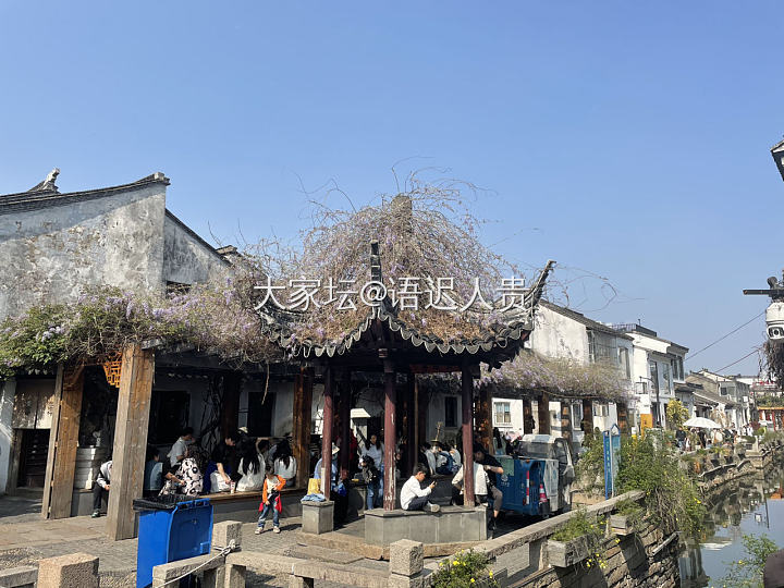 西园寺的素包素面+茶颜悦色+山缓缓，苏州人完美的吃吃喝喝一上午[呲牙]_旅游