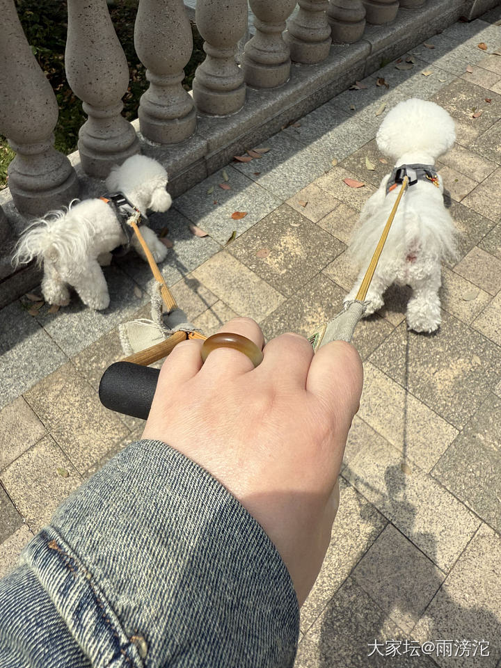 虽然有点硌手，但禁不住它好看啊！_戒指和田玉