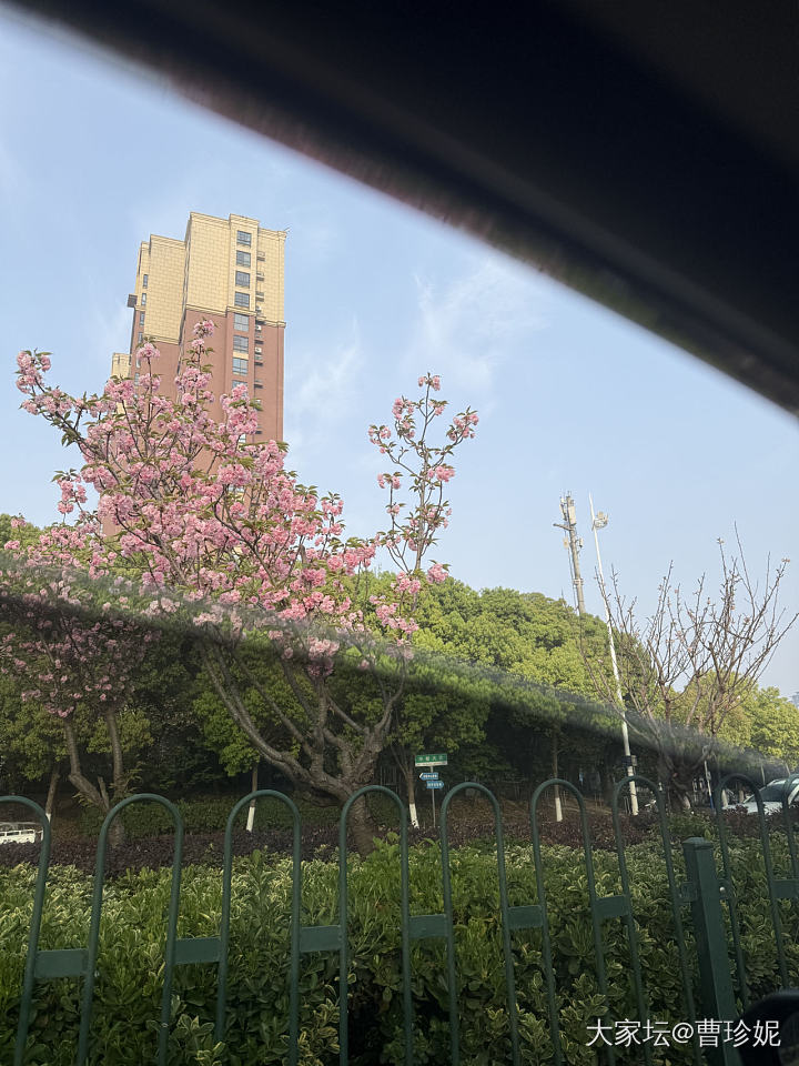 这样白T配牛仔还挺显瘦_穿搭