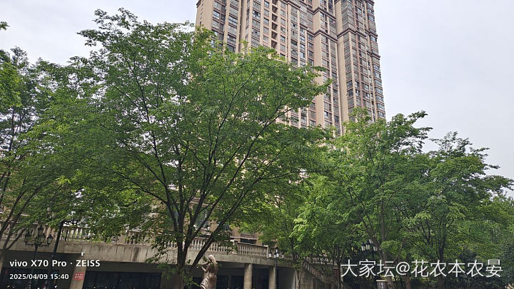 人说剪头丑三天……_闲聊