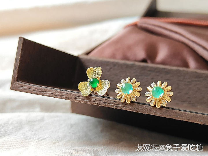 震惊！花盆里长出了不知名小花_时尚首饰名贵宝石彩色宝石