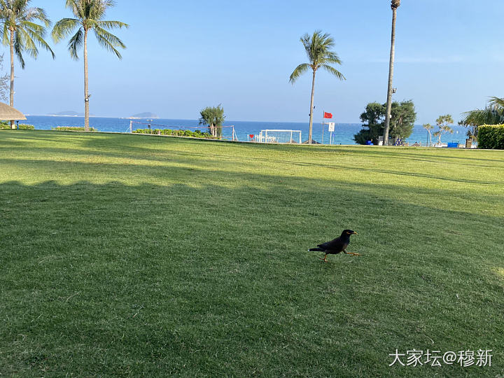 刷新地点，继续躺平。这次全海景房，是真的开门即见海了_旅游