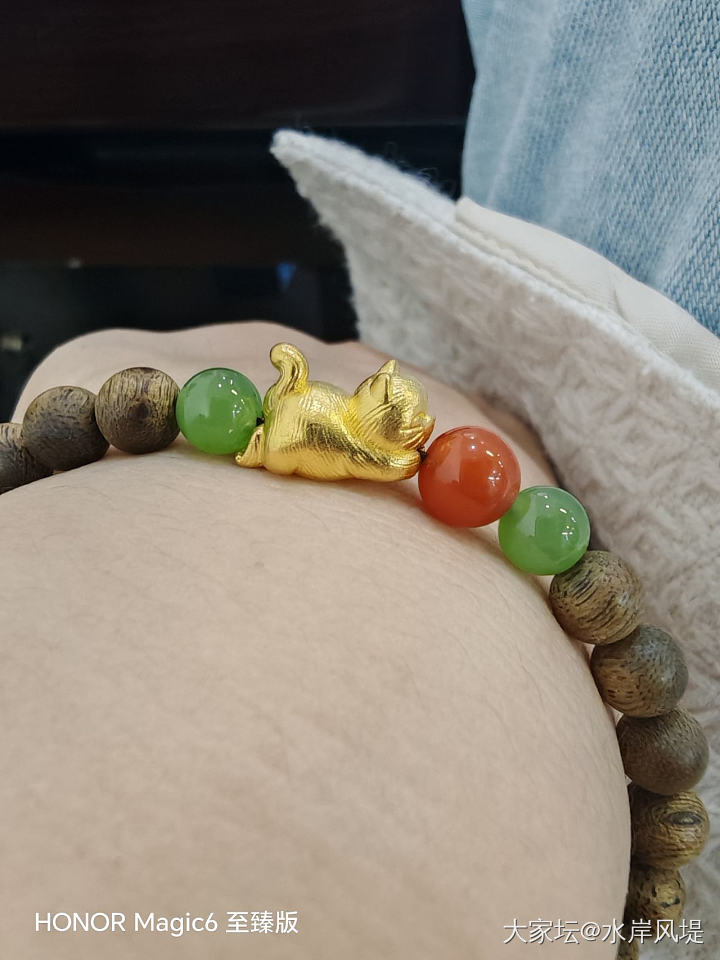 小猫猫滚球球_金