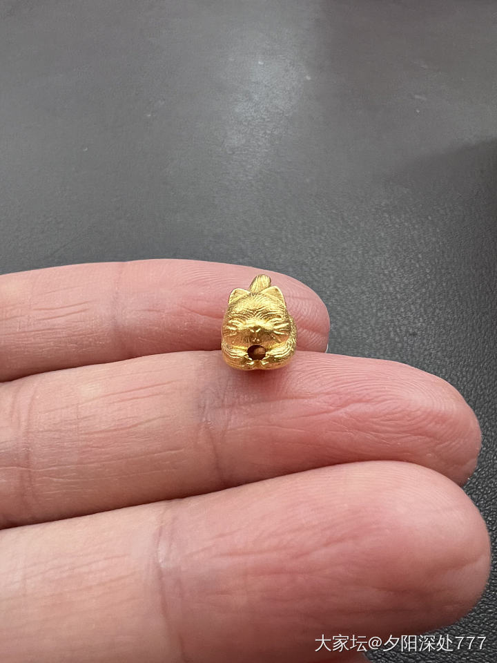 小猫猫滚球球_金