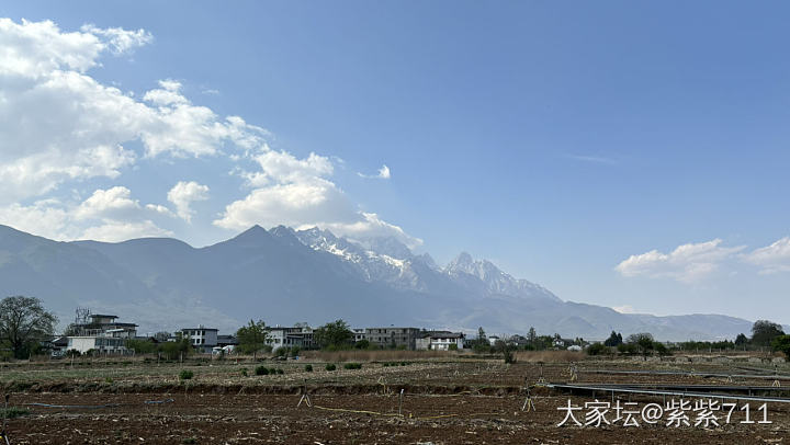 这周在云南_旅游