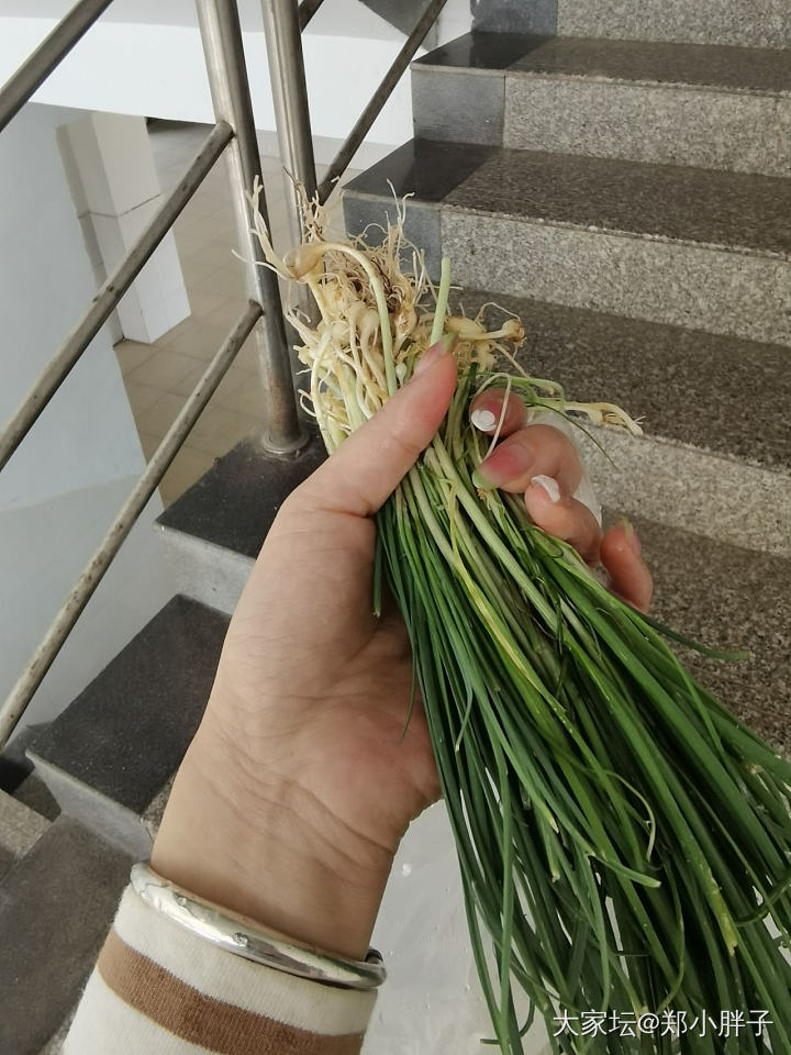 4月瘦身正当时_银