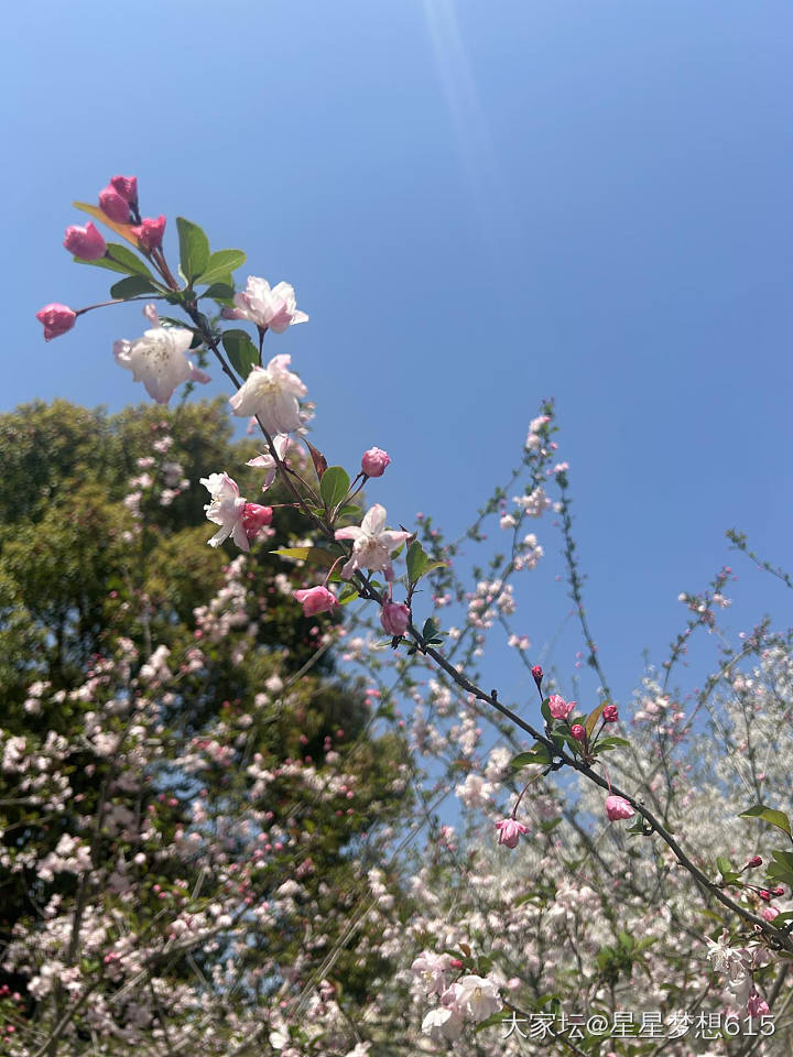 五颜六色的好时节，_旅游