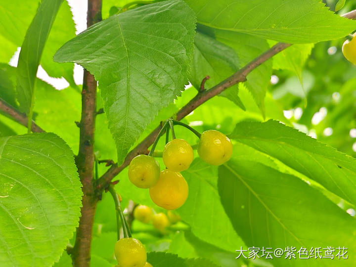 开心一刻：高腰果然显腿长。_闲聊