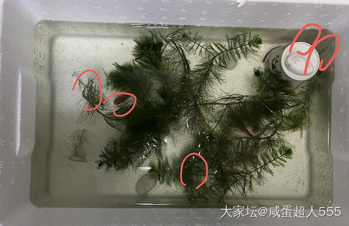 别想烦心事了，大家来考考自己的眼神。_宠物