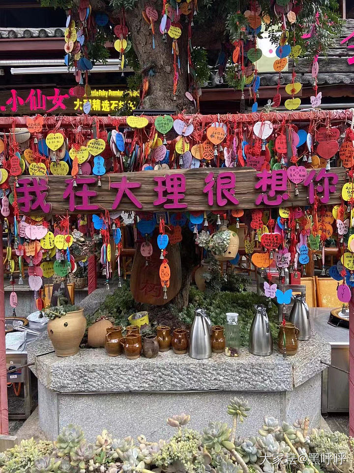 去有风的地方_剧集旅游