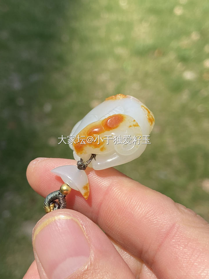 和田玉籽料红皮白肉生肖羊_和田玉