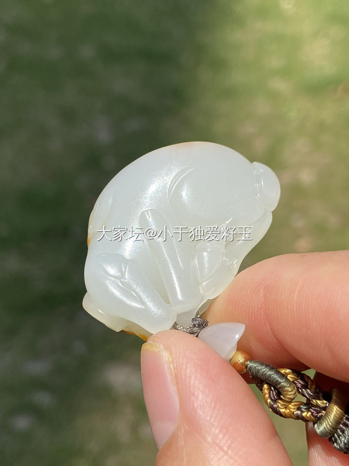 和田玉籽料红皮白肉生肖羊_和田玉