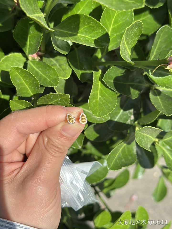 情绪价值的小鼻嘎来了，但却让我有点心烦呀_金
