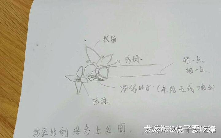 晒晒从灵魂画作变成现实的玩具们_彩色宝石名贵宝石翡翠