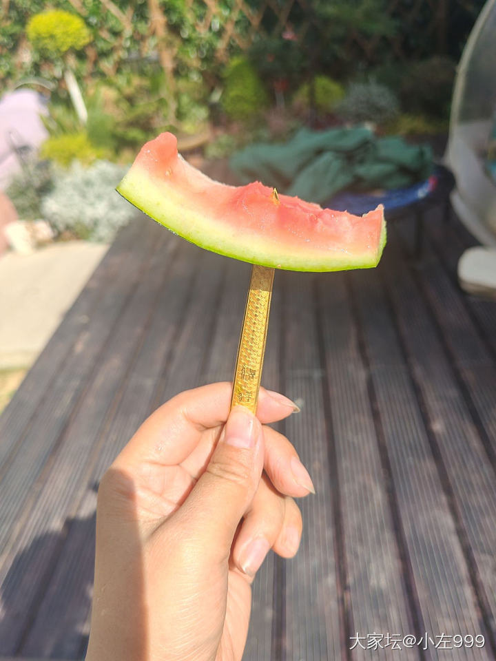 用大宝剑吃西瓜_金