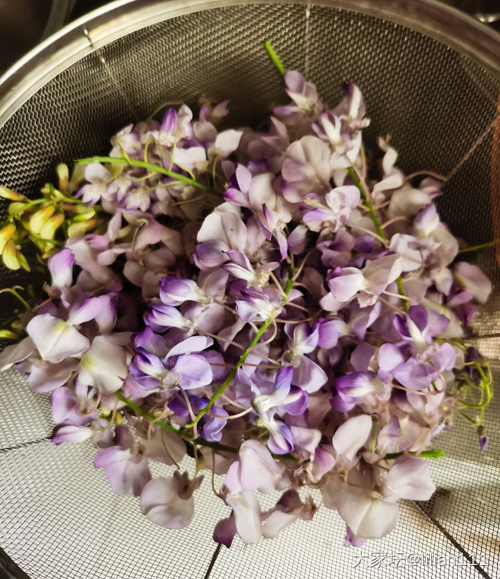 近日吃花总结_美食