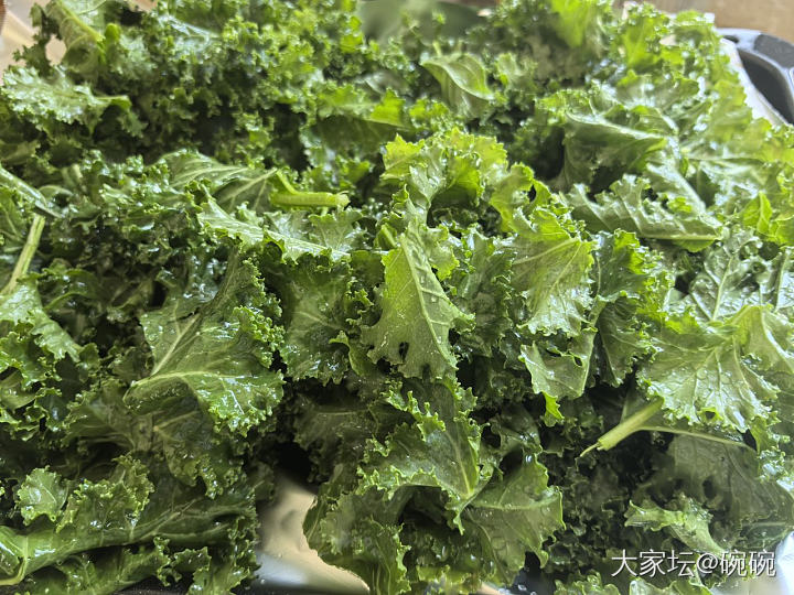 一天一个美食系列_美食