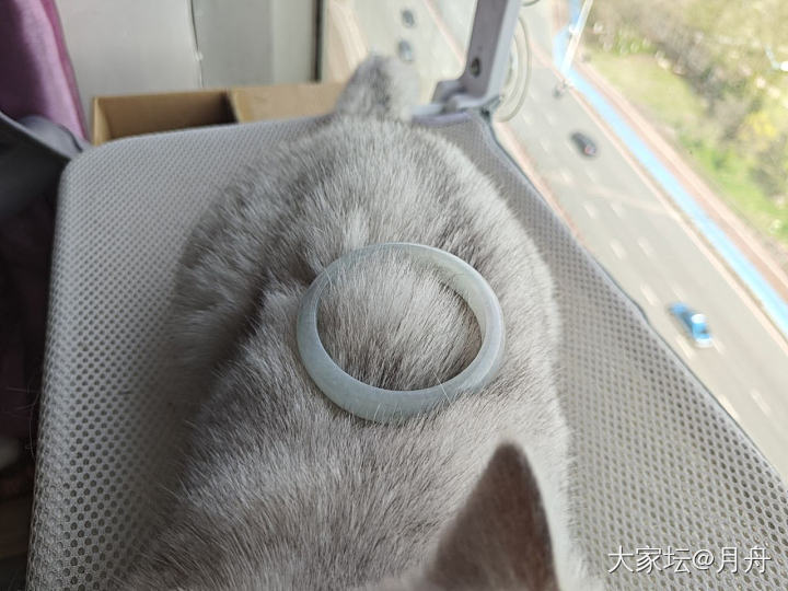 54口正装小白冰_翡翠