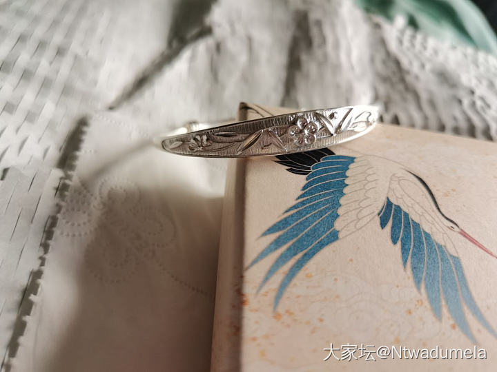 ÷华琅家的梅竹_银