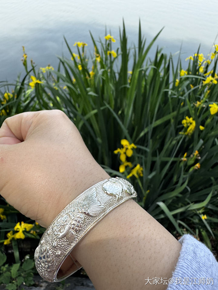 风到楝花，二十四番吹遍。_手镯银