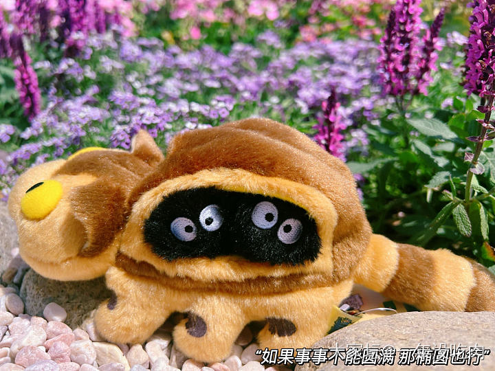 周五不需要文案  连空气都是快乐的_植物