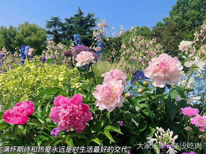 周五不需要文案  连空气都是快乐的_植物