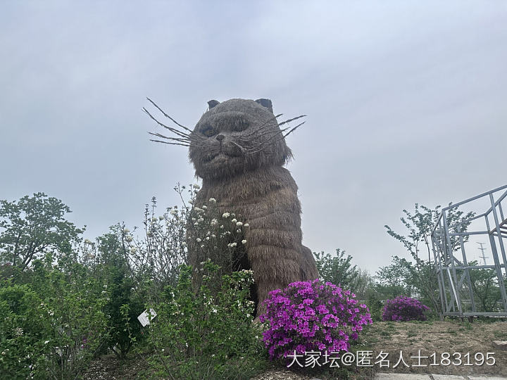 满眼都是花_旅游植物