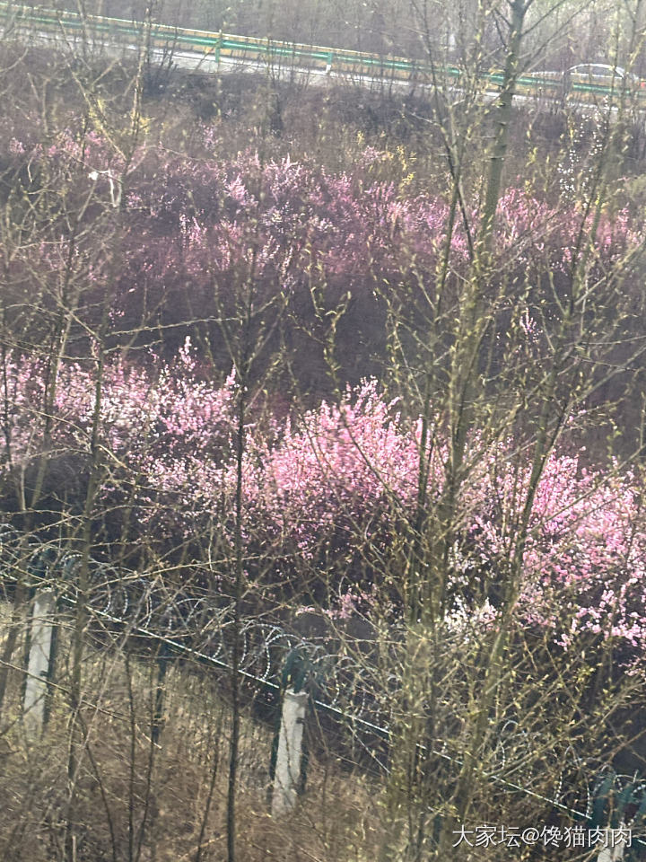 快到西宁了_旅游