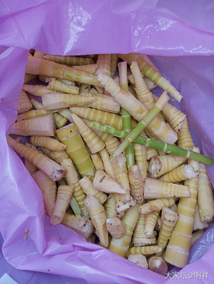 开心一刻：我又来“夺笋”了！_美食