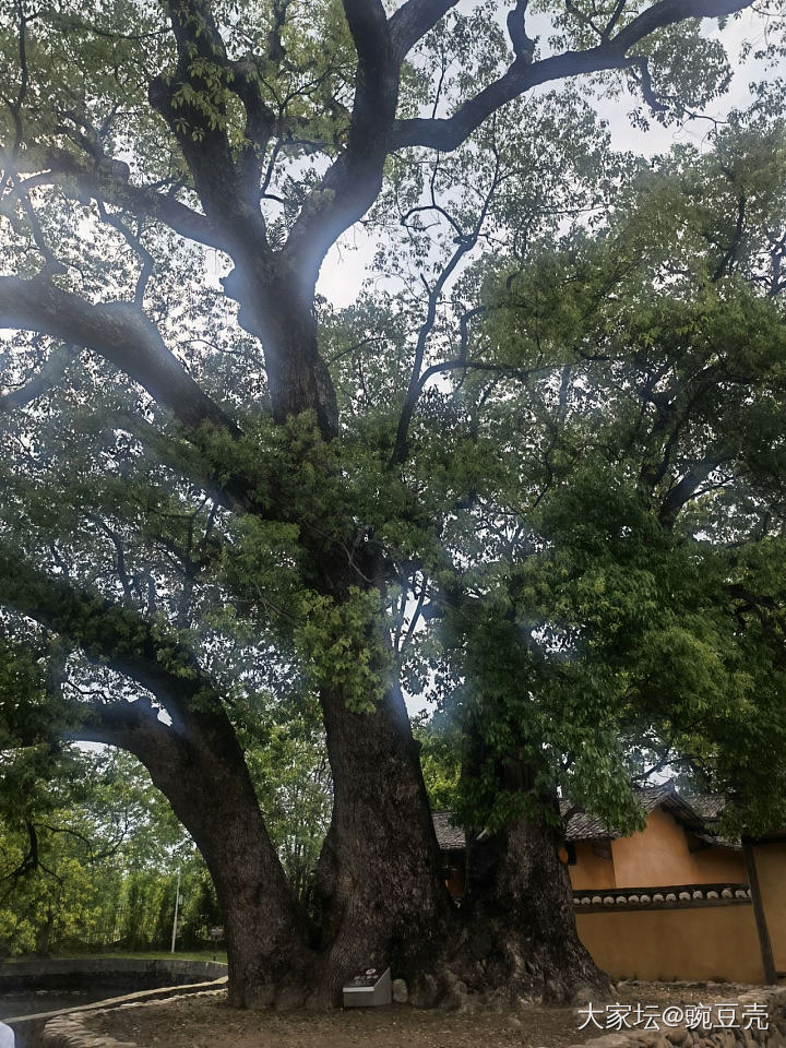 坛友的家乡有没有适合五一带娃游的好地方？_旅游