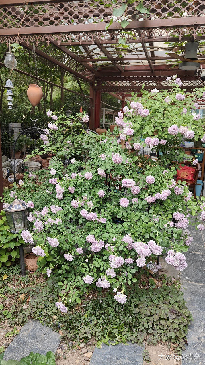 最美的季节_生活植物闲聊