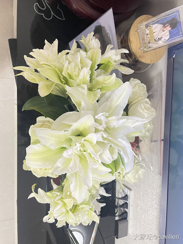 给大家安利一个水培花营养液_植物生活