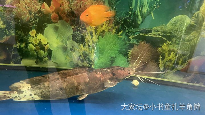 求推荐一款2500左右的华为手机_数码