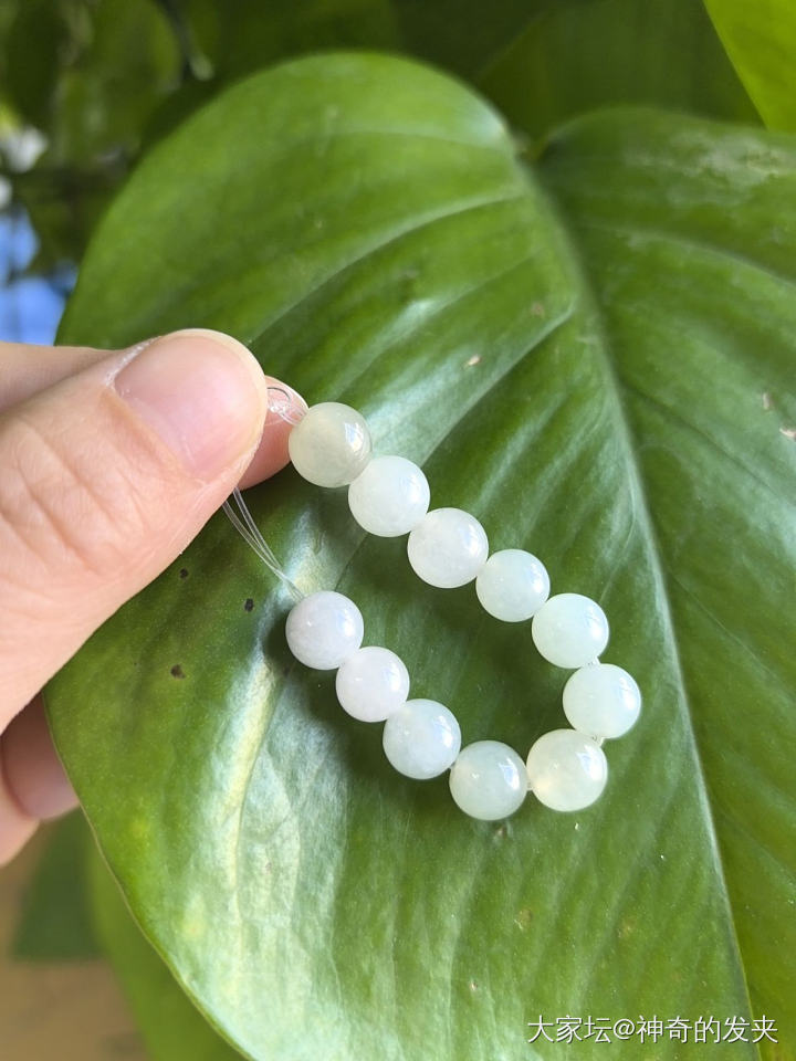 翡翠 散珠20一颗_翡翠