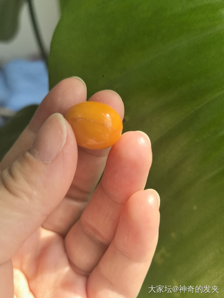 老蜜蜡桶珠_琥珀蜜蜡