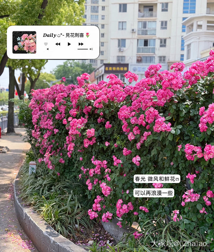 冰激凌买一送一的快乐～😁_美食