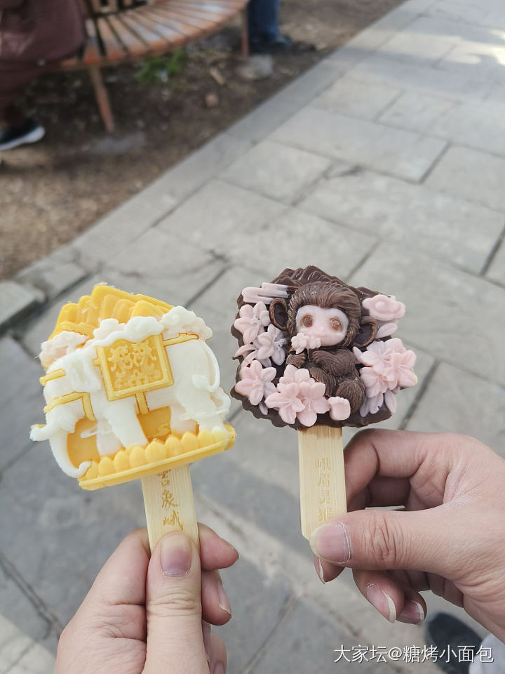 成功登顶峨眉山_旅游